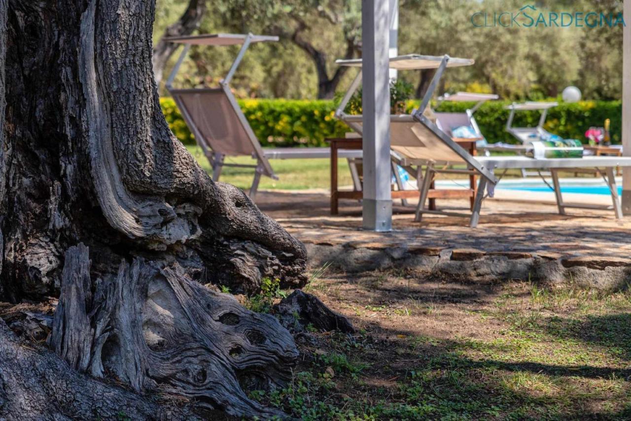 Villa Christiana Villa Del XV Secolo Con Piscina Ad Uso Esclusivo アルゲーロ エクステリア 写真