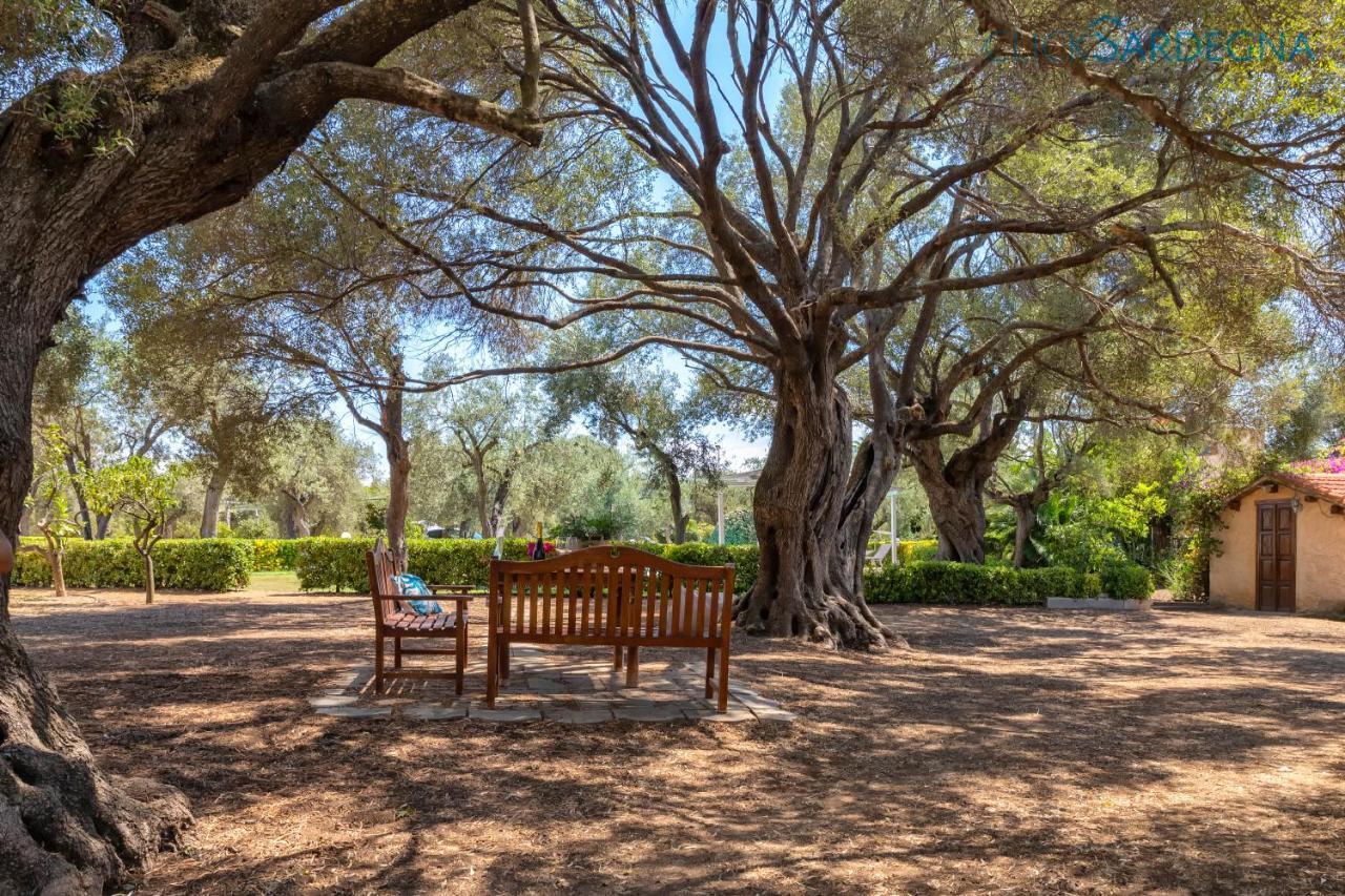 Villa Christiana Villa Del XV Secolo Con Piscina Ad Uso Esclusivo アルゲーロ エクステリア 写真